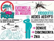Medicina del viajero VI: el dengue, síntomas y tratamiento