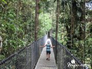 Puentes colgantes en Costa Rica: mi experiencia en Misticopark, Arenal