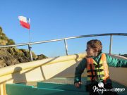 Ancud y las pingüineras de Puñihuil