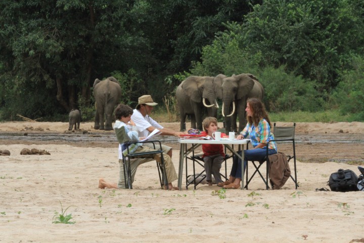 Estudiando con Elefantes. Parque Nac Taranguire, Tanzania (Small)