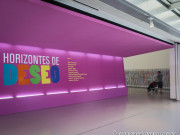 Museo de Arte Contemporáneo, en Mar del Plata (Horizontes de Deseo)