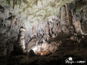 Las Cuevas de Postojnska Jama (Postojna), en Eslovenia