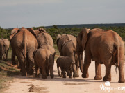 Parques naturales en Sudáfrica