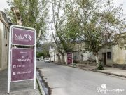 Qué hacer y ver en y desde Cafayate