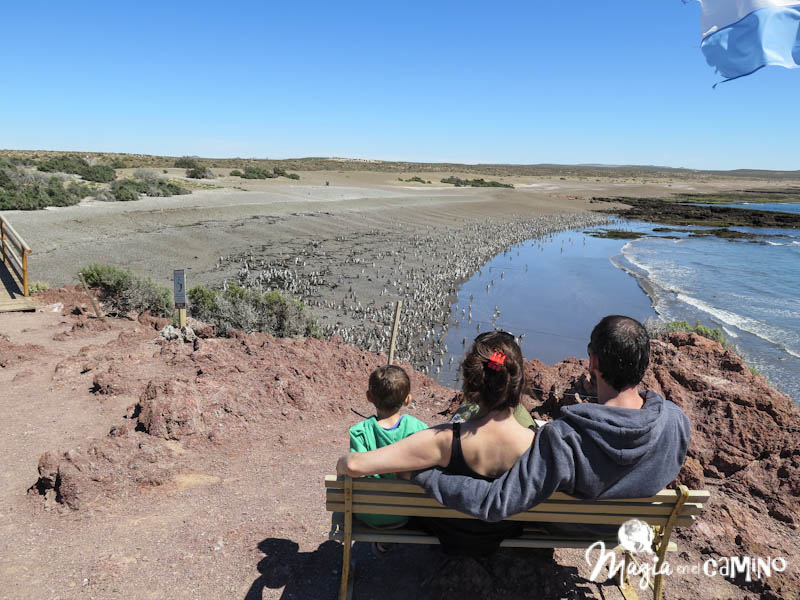 Excursiones en Puerto Madryn