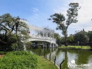 El Rosedal en los Bosques de Palermo, un oasis en la ciudad