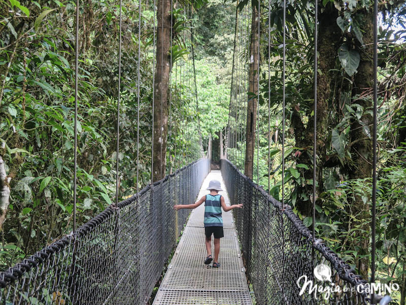 colgantes en Costa Rica: experiencia en Misticopark, Arenal | Magia en el