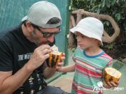 Tour de chocolate, café y azúcar: un 3×1 tentador