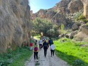 Campamentos familiares, una genial alternativa para las vacaciones