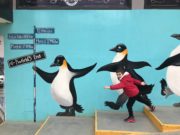 Qué hacer en USHUAIA con NIÑOS