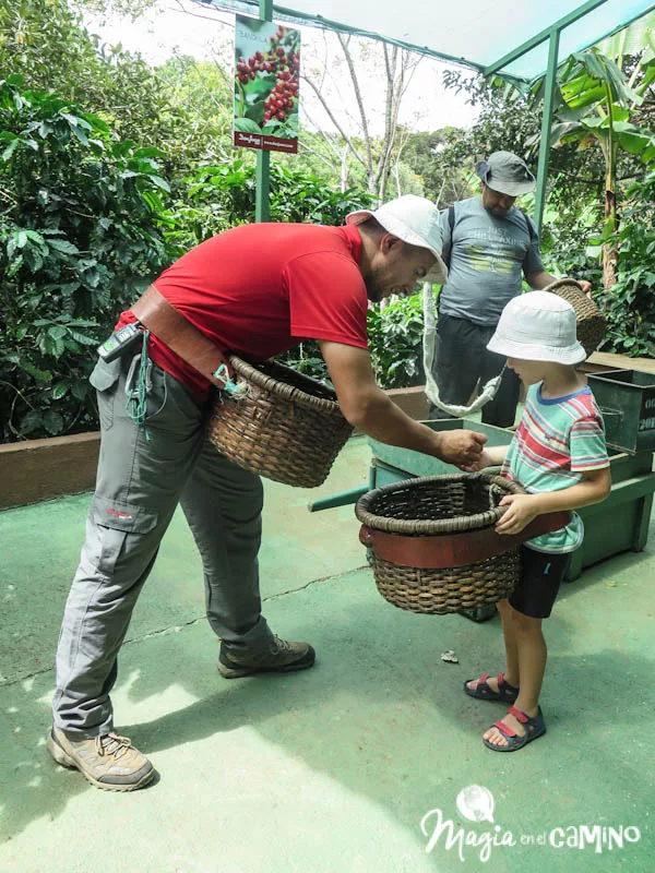 Tour del café y el chocolate en Costa Rica con niños