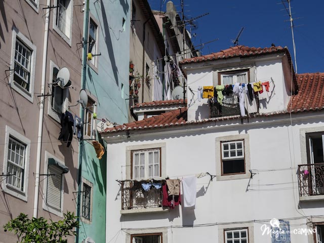 Free tours por los barrios de Lisboa