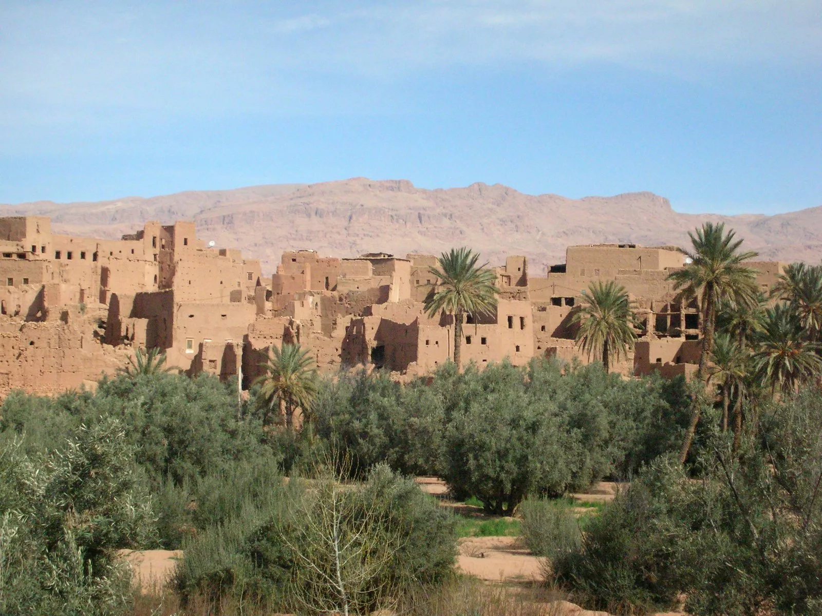 Excursiones desde Marrakech: mejores opciones